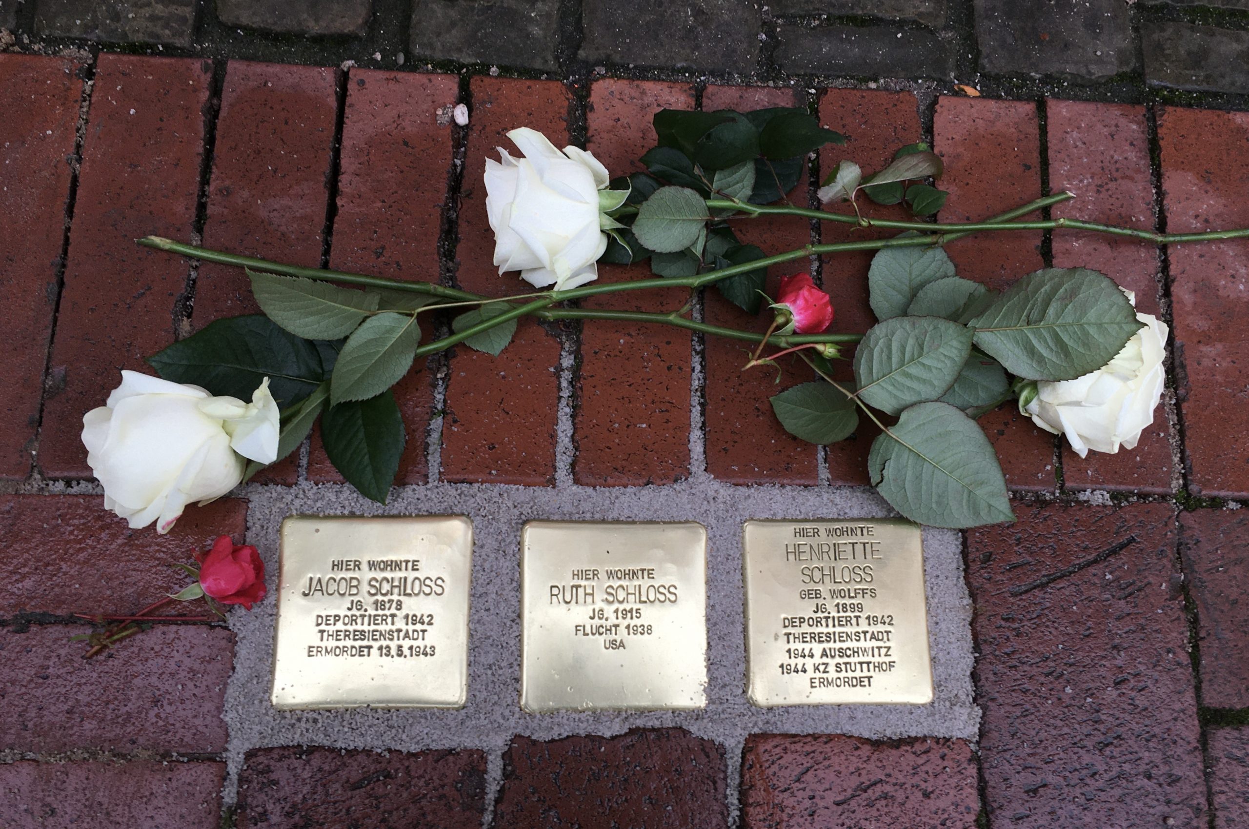 Ihre Namen bleiben – Stolpersteine in Wunstorf